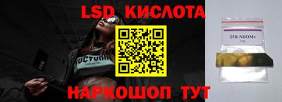 винт Новозыбков