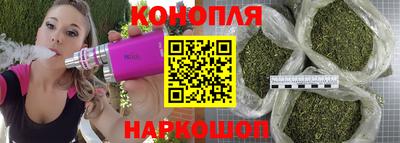 винт Новозыбков