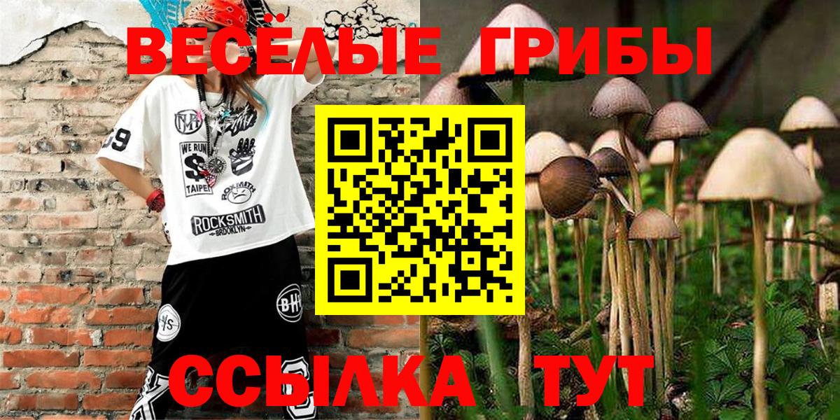 Галлюциногенные грибы мухоморы Севастополь